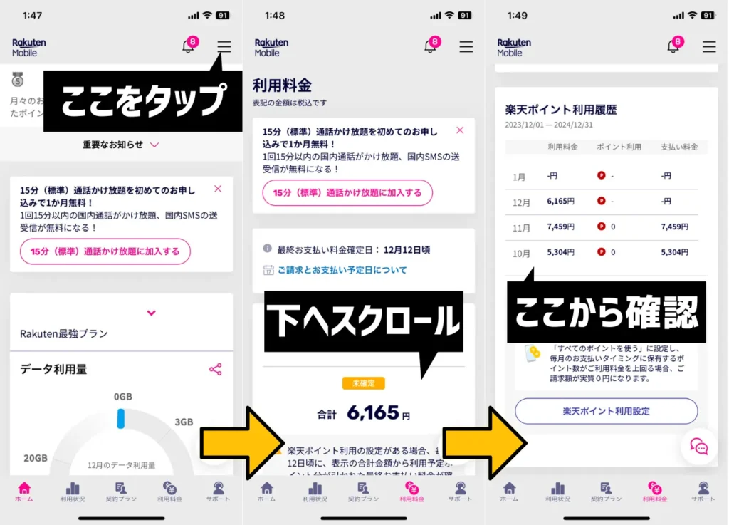 三木谷キャンペーンによる期間限定ポイントの確認方法